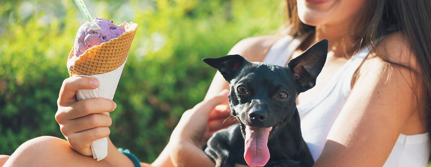 Is Ice Cream OK for Dogs: Understanding Ice Cream's Impact on Pets
